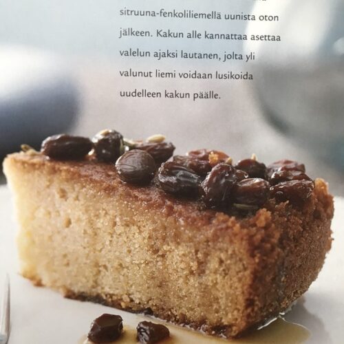 Jogurtti-hunajakakku