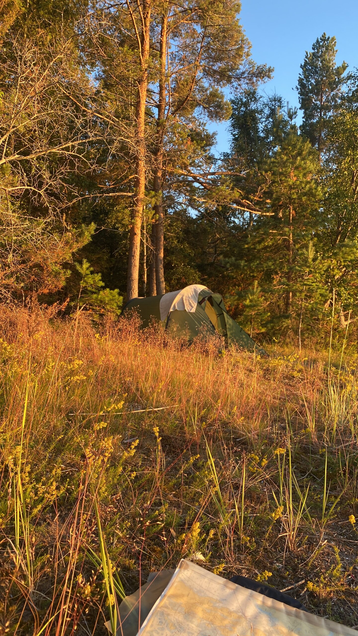 Teltta pystytettynä metsän suojaan Ahvenanmaan saariston saarelle.